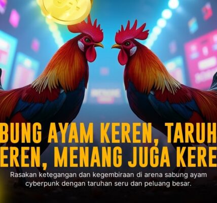 Mengenal Ayam Bangkok: Raja Sabung Ayam Modern
