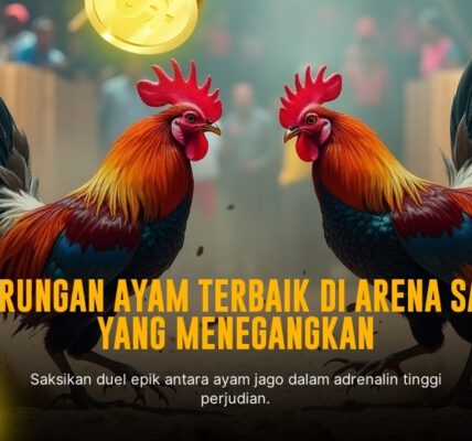 Keunggulan Sabung Ayam SV388 dan Cara Memainkan