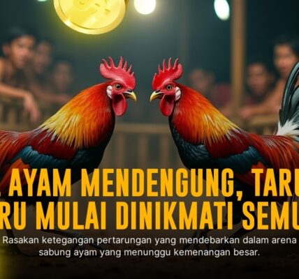 Mengenal Ayam Bangkok: Raja Sabung Ayam dengan Peluang Menang Tinggi