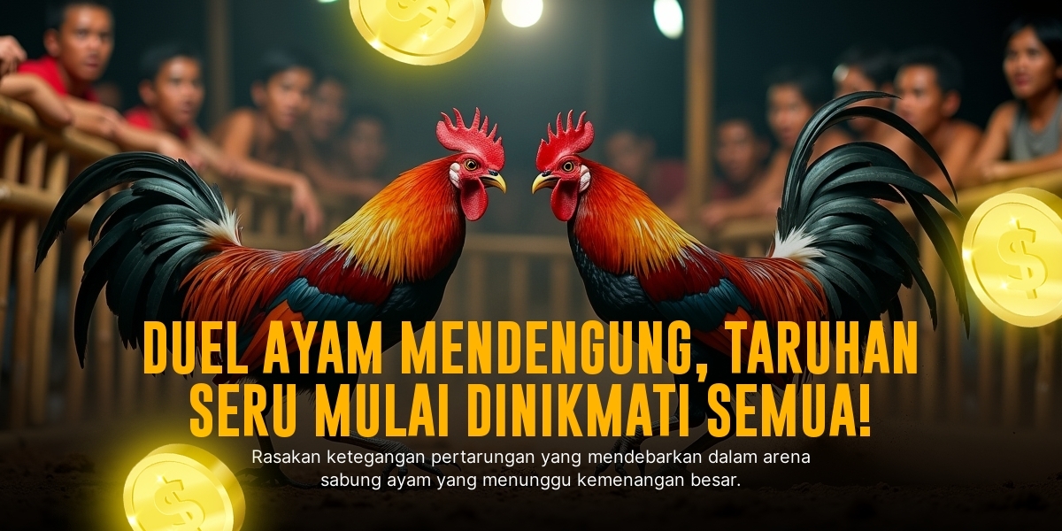Mengenal Ayam Bangkok: Raja Sabung Ayam dengan Peluang Menang Tinggi