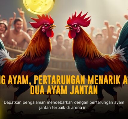 Mengenal Jenis Ayam Aduan SV388: Kunci Sabung Ayam Sukses