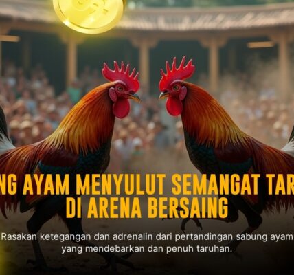 Rahasia Ayam Bangkok: Raja Sabung Ayam yang Mendominasi Arena