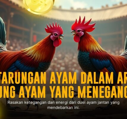 Rahasia Kehebatan Ayam Bangkok di Sabung Ayam SV388