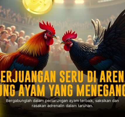 Mengenal Ayam Bangkok: Raja Sabung Ayam dengan Odds Menarik di SV388