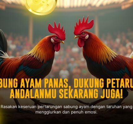 Mengenal Jenis Ayam Bangkok: Raja Sabung Ayam yang Patut Dicoba