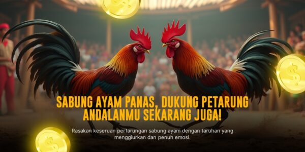 Mengenal Jenis Ayam Bangkok: Raja Sabung Ayam yang Patut Dicoba