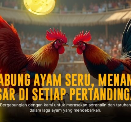 Rahasia Ayam Bangkok: Raja Sabung Ayam dengan Odds Terbaik di SV388