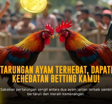 Kenali Ayam Bangkok: Raja Sabung Ayam dengan Taruhan Terbaik