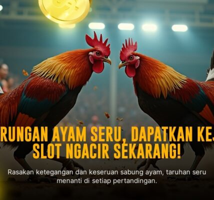 Mengenal Ayam Bangkok: Raja Sabung Ayam di SV388