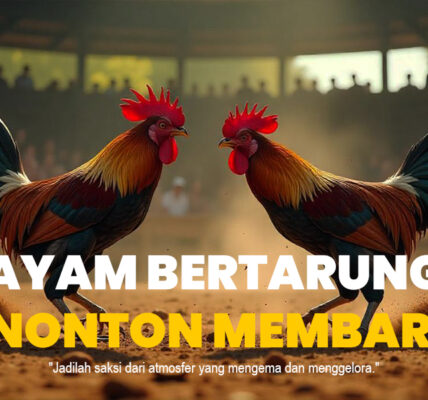 Mengungkap Keunggulan Ayam Bangkok dalam Sabung Ayam SV388